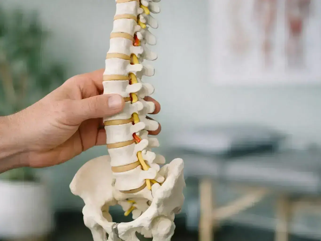 Soft Tissue Therapy in Chiropractor—Riverdale
